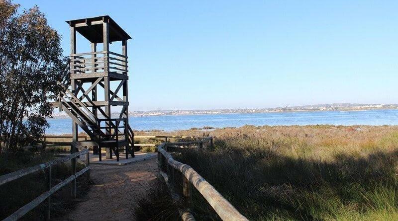Apartamento Vistas La Mata Playa Kültér fotó