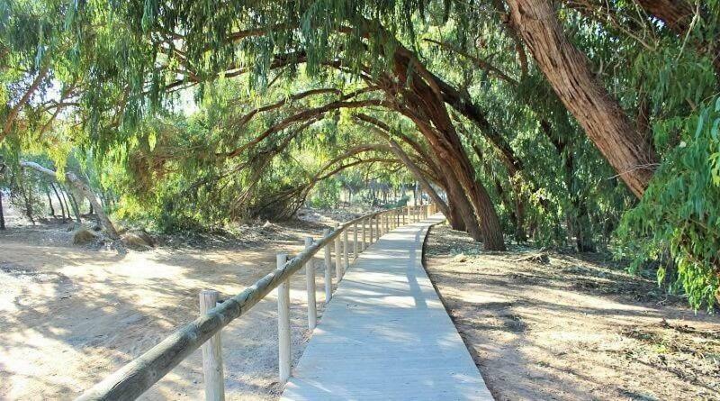 Apartamento Vistas La Mata Playa Kültér fotó